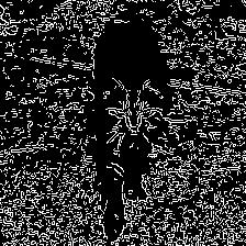 Edges for Image cat23