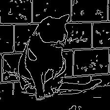 Edges for Image cat46