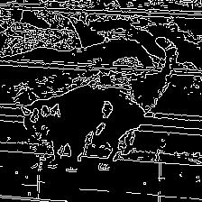 Edges for Image cat59